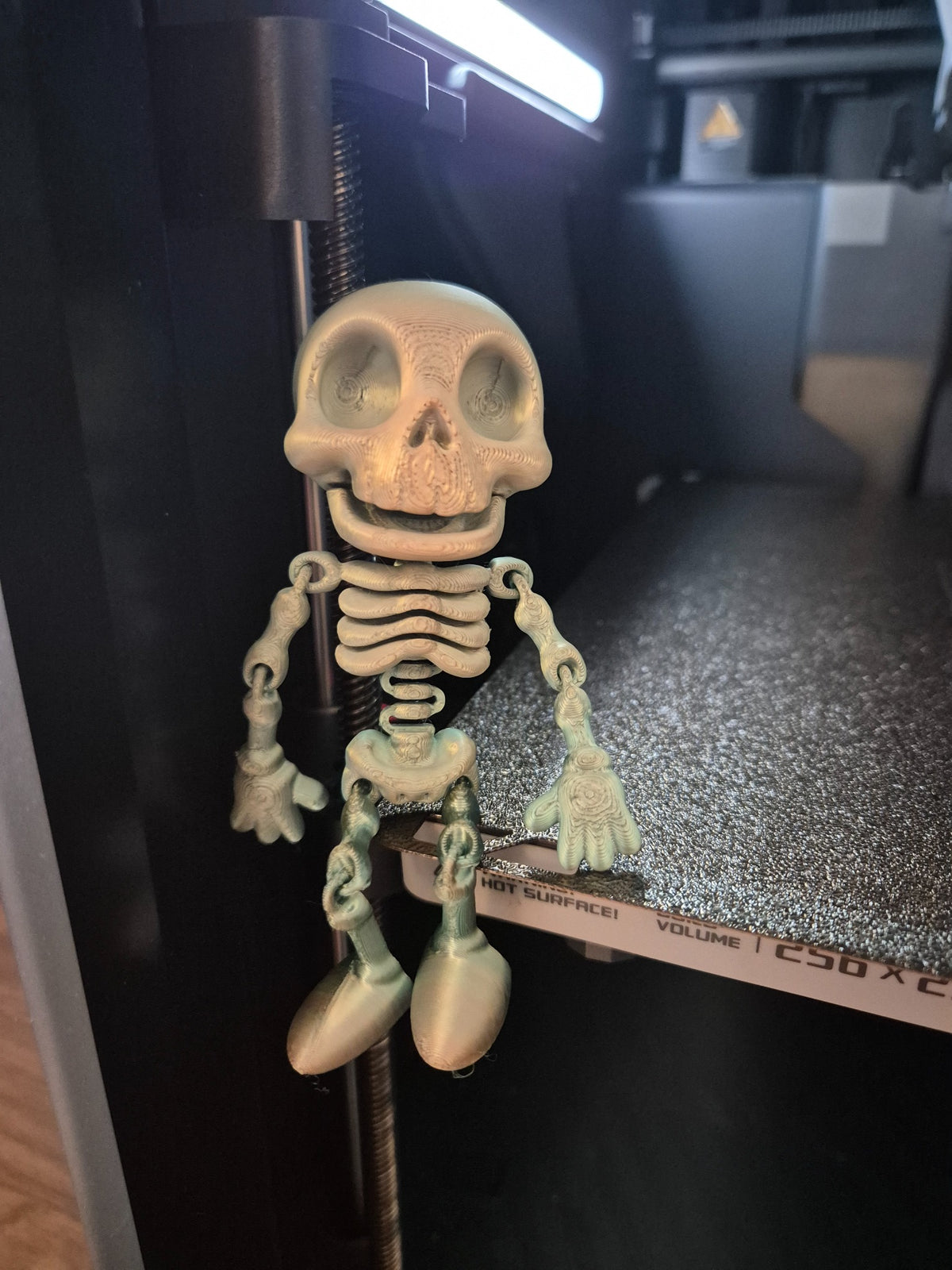 Articulated Skeleton – 3D Printed Flexible Desk Toy